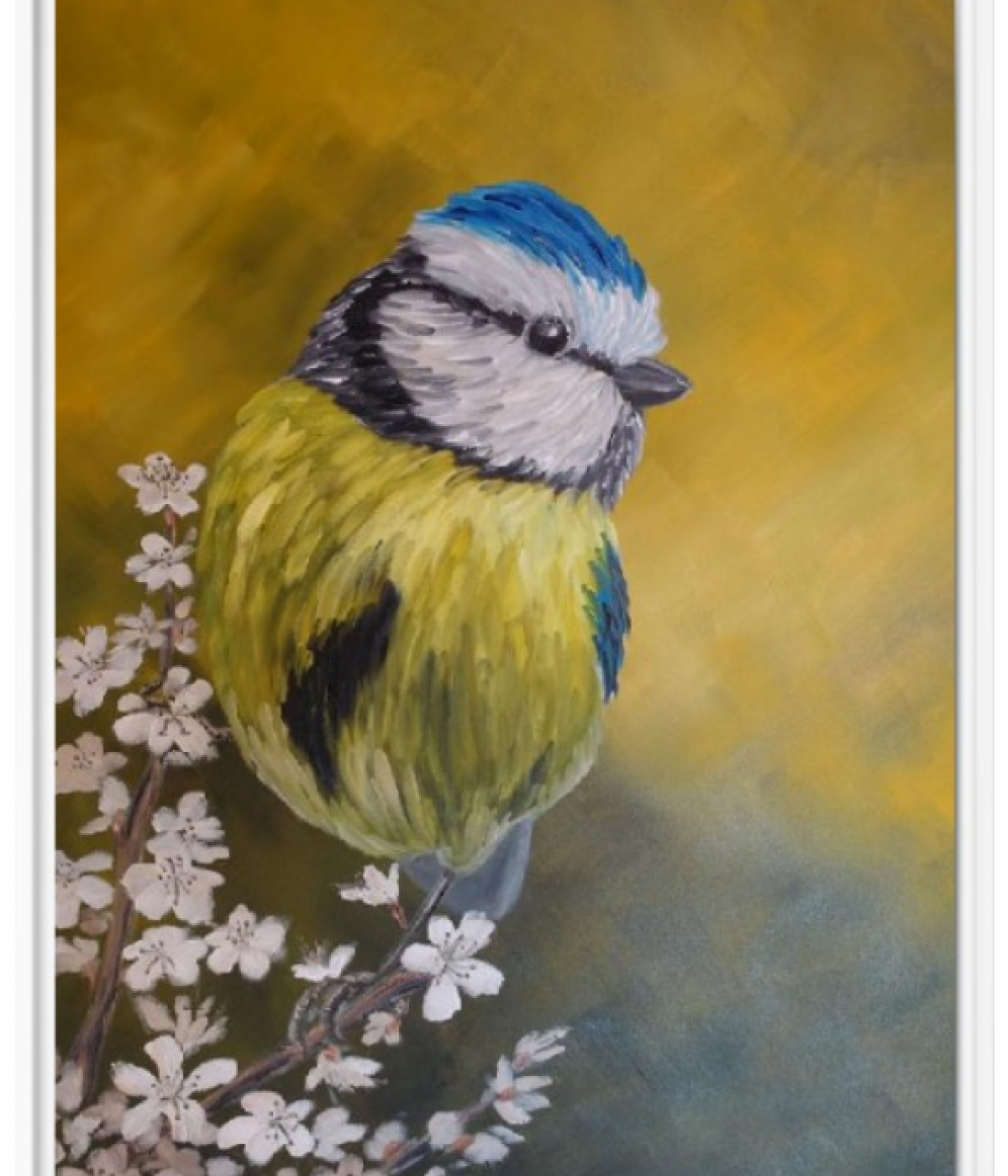 Blaumeise auf blühendem Zweig