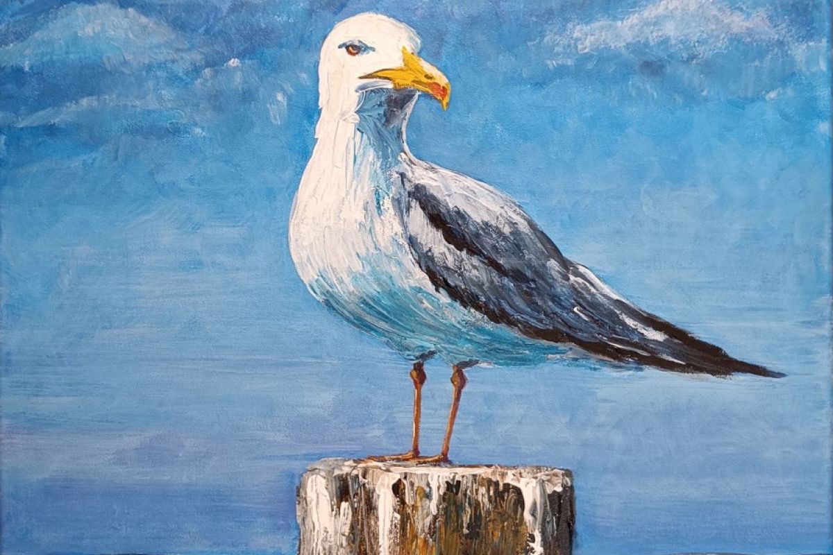 Möwe auf Beobachtungsposten